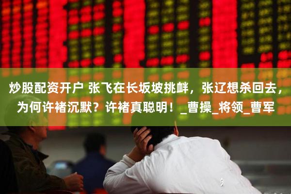 炒股配资开户 张飞在长坂坡挑衅，张辽想杀回去，为何许褚沉默？许褚真聪明！_曹操_将领_曹军