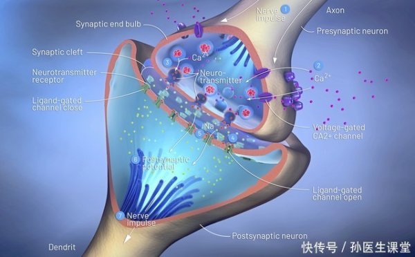 炒股配资开户 骨质疏松补钙就行了？并非如此，这几大误区很多人还不知道！