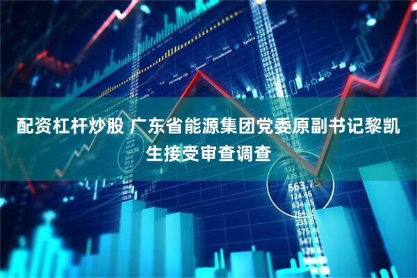 配资杠杆炒股 广东省能源集团党委原副书记黎凯生接受审查调查