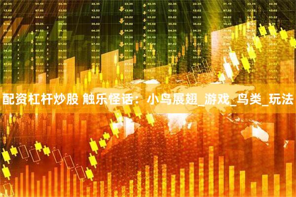 配资杠杆炒股 触乐怪话：小鸟展翅_游戏_鸟类_玩法